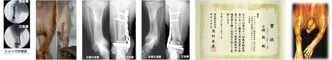 麻布獣医学会越智賞を受賞