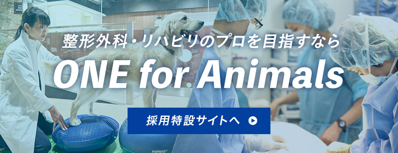 整形外科・リハビリのプロを目指すなら ONE for Animals 採用特設サイトへ